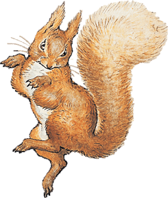 Squirrel-Nutkin
