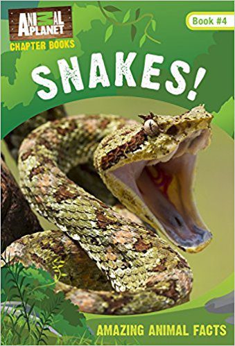 Animal Planet Chapter Book: Snakes!