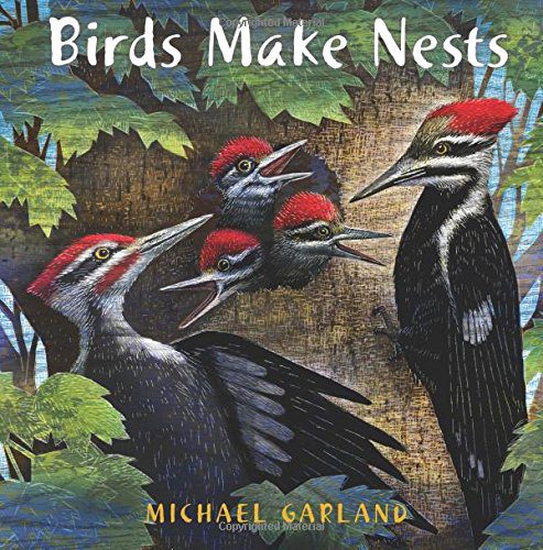 Birds Make Nests