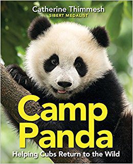 Camp Panda: Helping Cubs Return to the Wild
